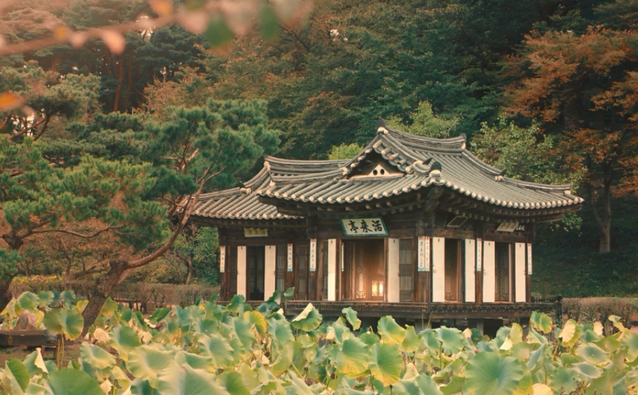 사진출처=서경덕 교수 연구팀