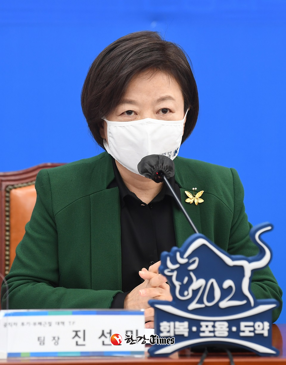 더불어민주당 진선미 의원