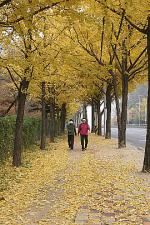 관악산, 사람중심의 건강숲길 탄생
