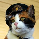 일본 인기 고양이 역장 '타마' 사망!!