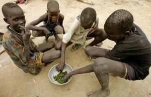 UN “나이지리아 기아문제 심각”