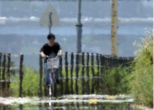 일본, 폭우에 이어 폭염까지.. 낮 최고기온 36도