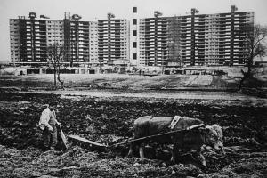 ‘1970년대 압구정’... 강남구, 50년 변천사 사진전