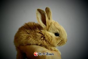 [오늘의 운세 2023년 1월 30일] 99년생 잘해보자 다짐 손가락을 걸어보자