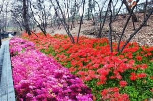 동대문구, ‘서울형 치유의 숲길’ 배봉산근린공원 대대적 정비