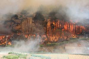 [한강포토]강릉시 난곡동 대형 산불...'시민들의 재산' 불길에 휩싸여
